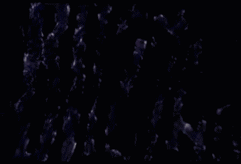 Rz5Y.gif