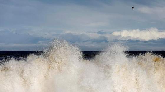 Terungkap! Misteri Tsunami 2021 yang Menyebar ke Seluruh Bumi
