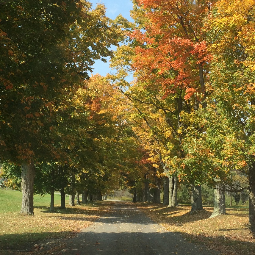 Connolly Real Estate, Liberty PA