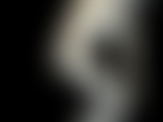 The 'Why' Behind Blue Collar