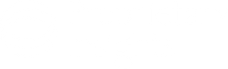 Proprietary Insights brand logo for UX stratergy and digital transformation consultancy.