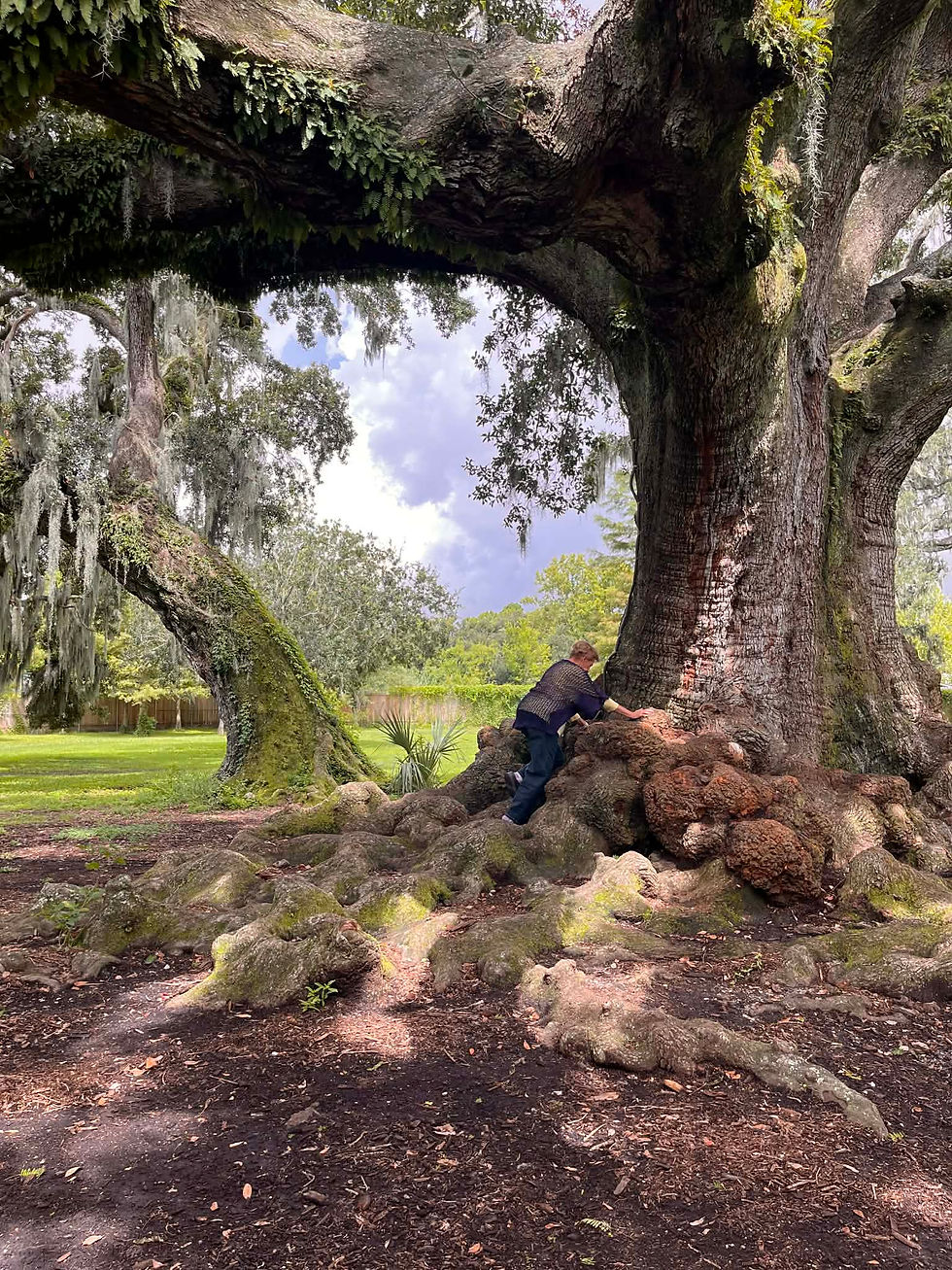 A person leans against a massive tree with exposed roots in a lush park. The sky is cloudy, and the scene feels serene and peaceful.