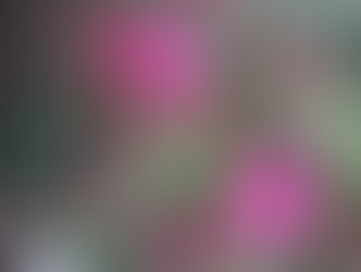 ANGELS AND ACCEPTANCE