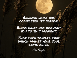 THE HARVEST MOON AND THE LADDER