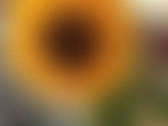 BLOOMING AFTER FORTY