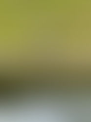 STANDING AT THE SHORE OF DIVINE LOVE