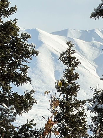Snow-covered mountain peaks framed by evergreen trees under a pale blue sky, creating a quiet winter landscape.