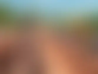 Roof Repair Watermill