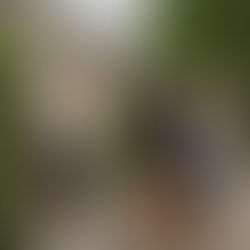 In een strafrechtelijke procedure rondom burenterreur kan een particulier onderzoeker of privédetective een essentiële rol vervullen