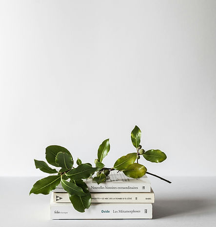 zweig auf Büchern.jpg