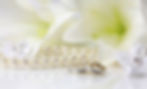 Cover Photo 3