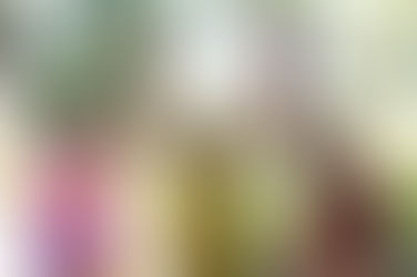 Women empowerment under the Modi govt