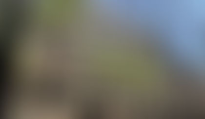 Knife-wielding Muslim tries to kidnap 11-year-old Jewish school girl in France