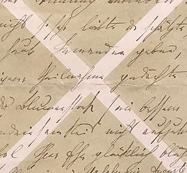 The Catalogue by Rose Zgodzinski