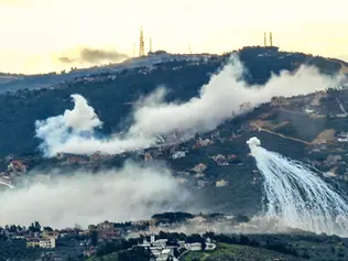 Genocide Warning: Ecocide and Domicide in Southern Lebanon