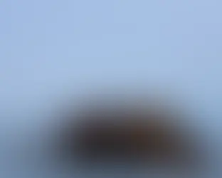 UK and France Asylum Deal - Human Rights violations?