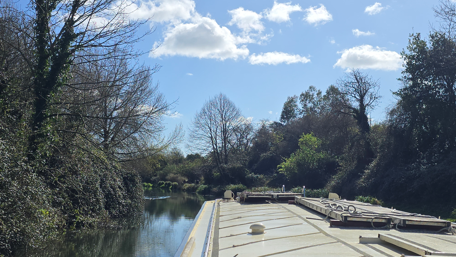 View from the boat of the Chichester canal