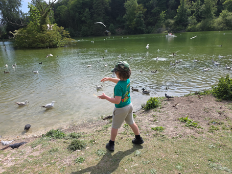 Feeding ducks in Arundel - Swanbourne lake