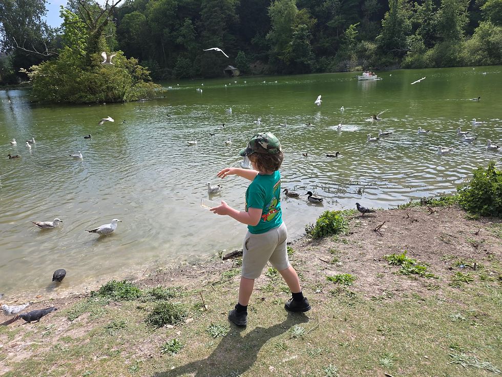 Feeding ducks in Arundel - Swanbourne lake