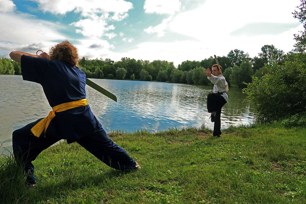 arts-martiaux-vienne-poitie.jpg