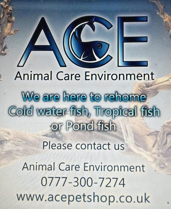 419546077_1081736679731862_6638046143146964150_n_edited_edited.jpg