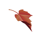 Canva-Leaf_edited_edited.png