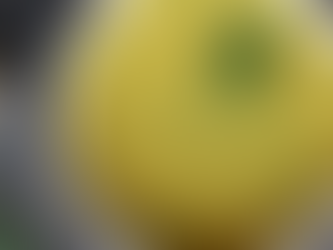 HESARU BELE THOVE/ MOONG DAL GRAVY FOR IDLY