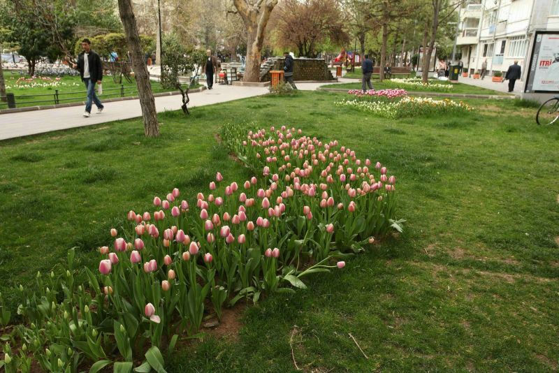 Hamamyolu Yhediler Parkı