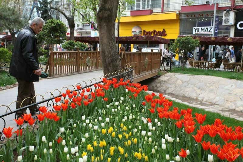 Yediler Park