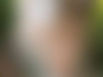 Driveway Cleaning: 6 Reasons You Should Clean Your Driveway