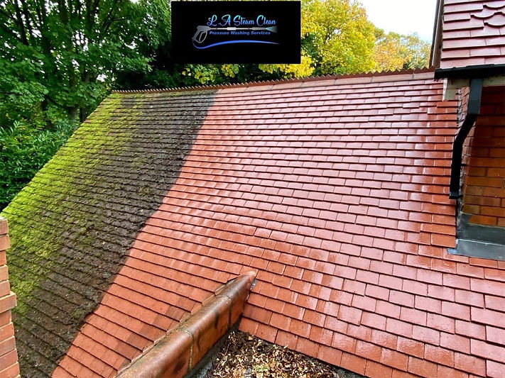roof-cleaning.jpeg