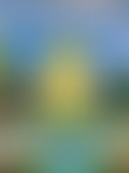 A Day of Late-Spring in the Middle of Winter