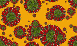 Anthurium 3 - A3