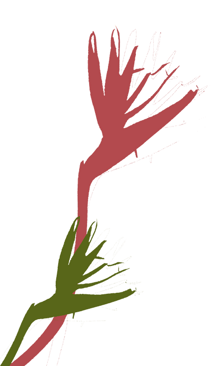 module 5.png