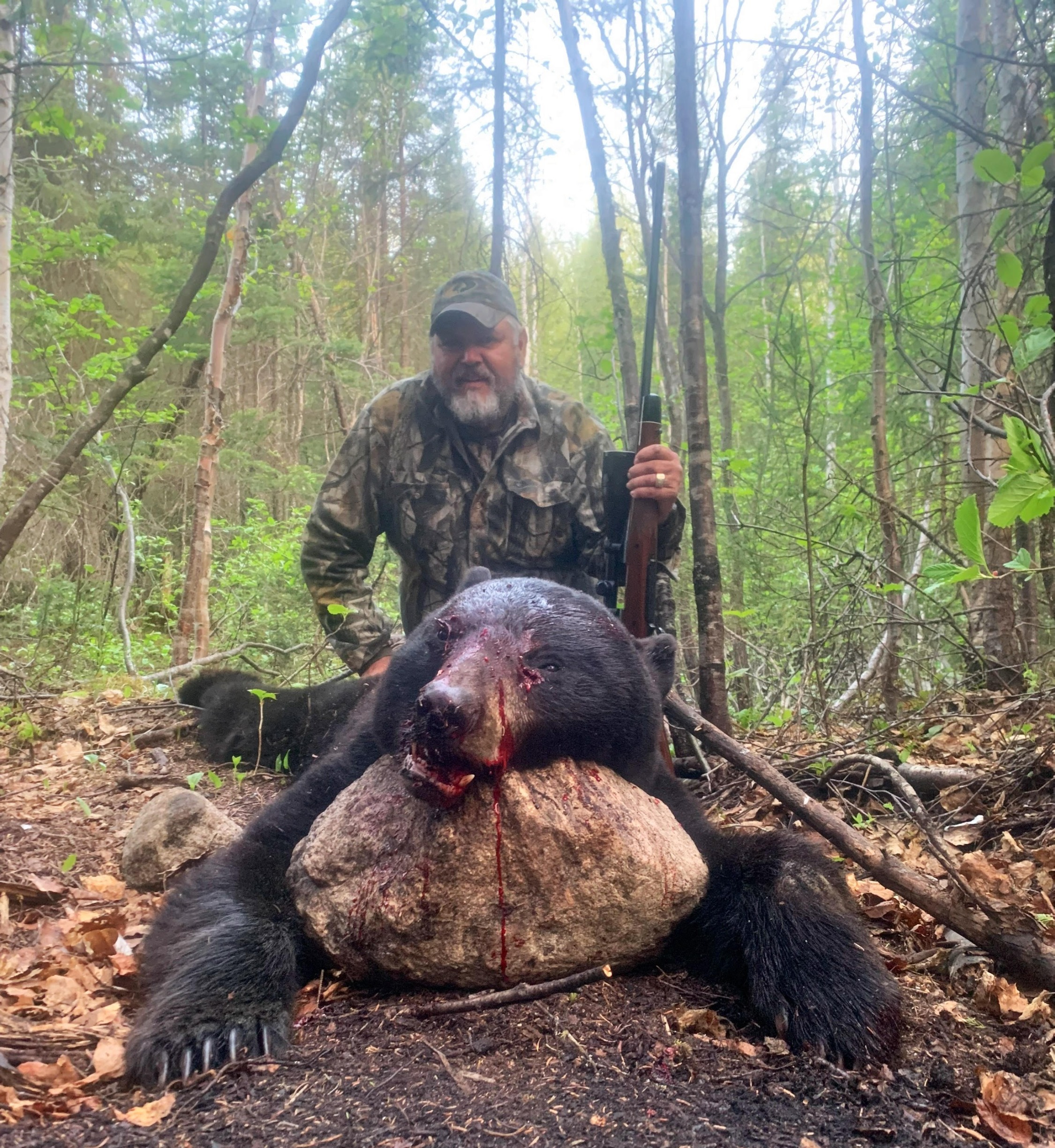 Forfaits de chasse au gros gibier à l'ours noir — L'Aventure de l'Ours Noir Qc. – L'Aventure de l'Ours Noir Qc.