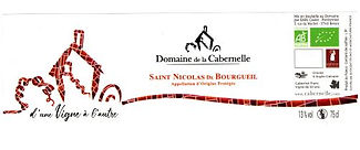 etiquette-vin-st-nicolas-bourgueil-vigne-a-autre-cabernelle.jpg