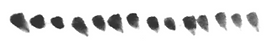 pontos.png