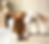 Facetune_18-08-2024-17-35-02_edited.png