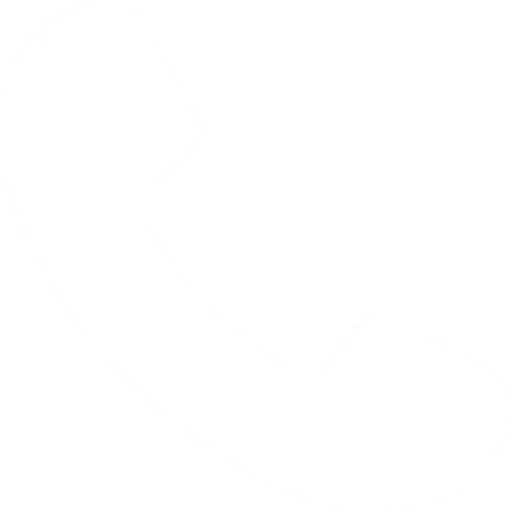 phone-call-white-icon.webp