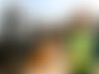 EHS manager evaluating a forklift pedestrian detection system at a construction site.