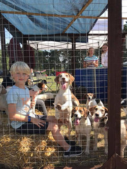 38444472_2245859418968299_25189992639968