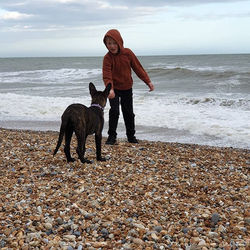 Lets try some training here! #dutchherde