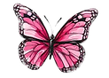 Butterfly Pic 11_edited.png