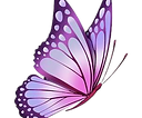 Butterfly Pic 18_edited.png