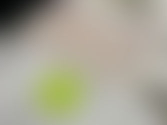 "Mercado das Camélias" – Do Problema à Ideação 