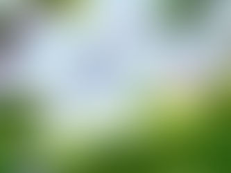 Free-to-play modelinin giderek yaygınlaştığı oyun sektöründe, Aniimo’nun konsol tarafına da açılması stratejik bir adım. Açık dünya ve yaratık toplama türünün birleşimi, doğru kurgulandığında uzun süreli oyuncu bağlılığı yaratabilir.