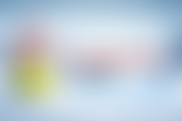 Merry Christmas and a Happy New Year! 