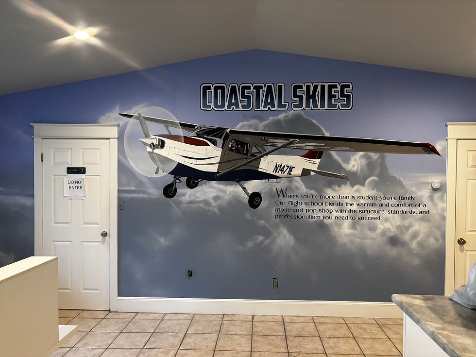 Coastal Skies