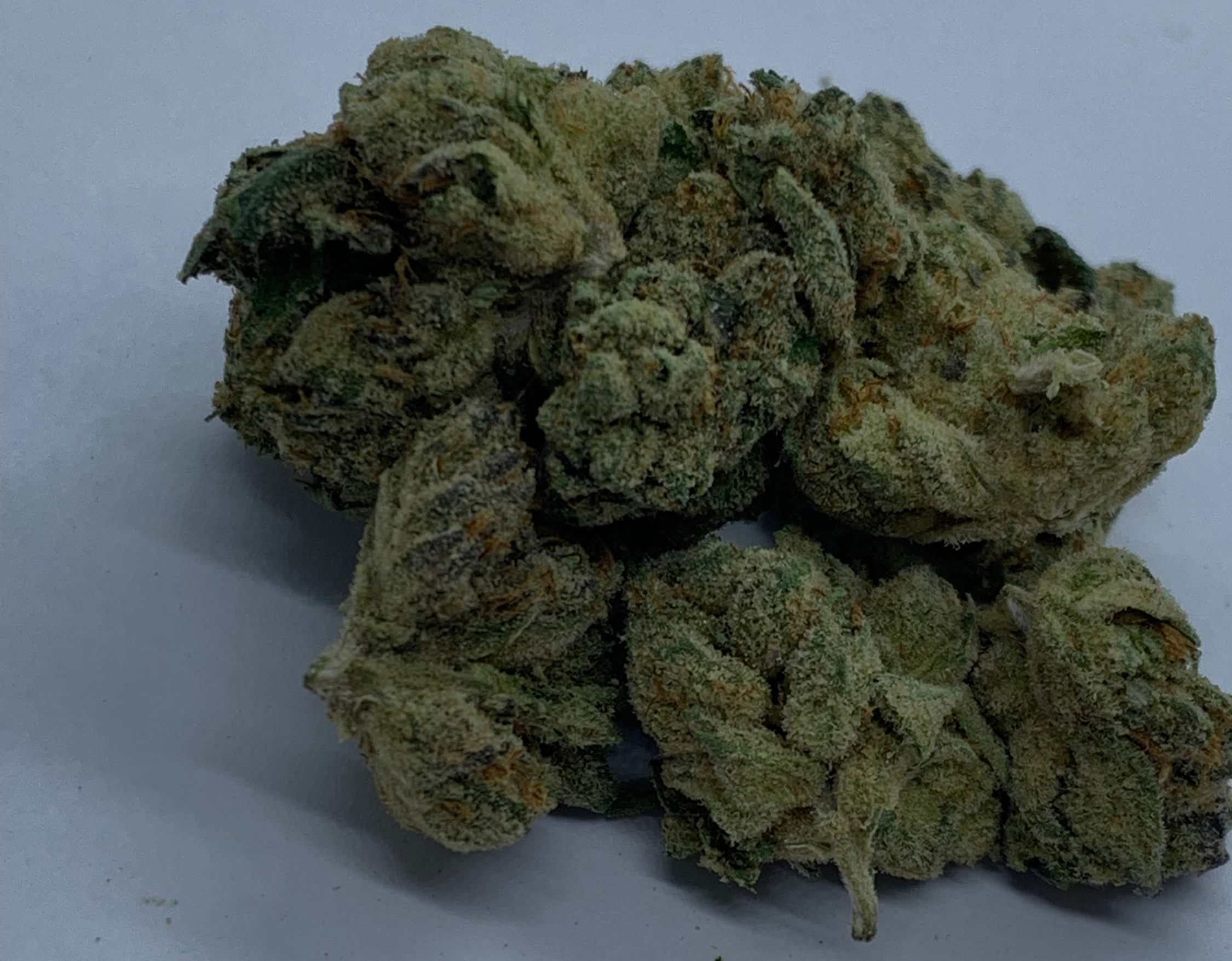 Face Off 1oz ( Hybrid 50/50)