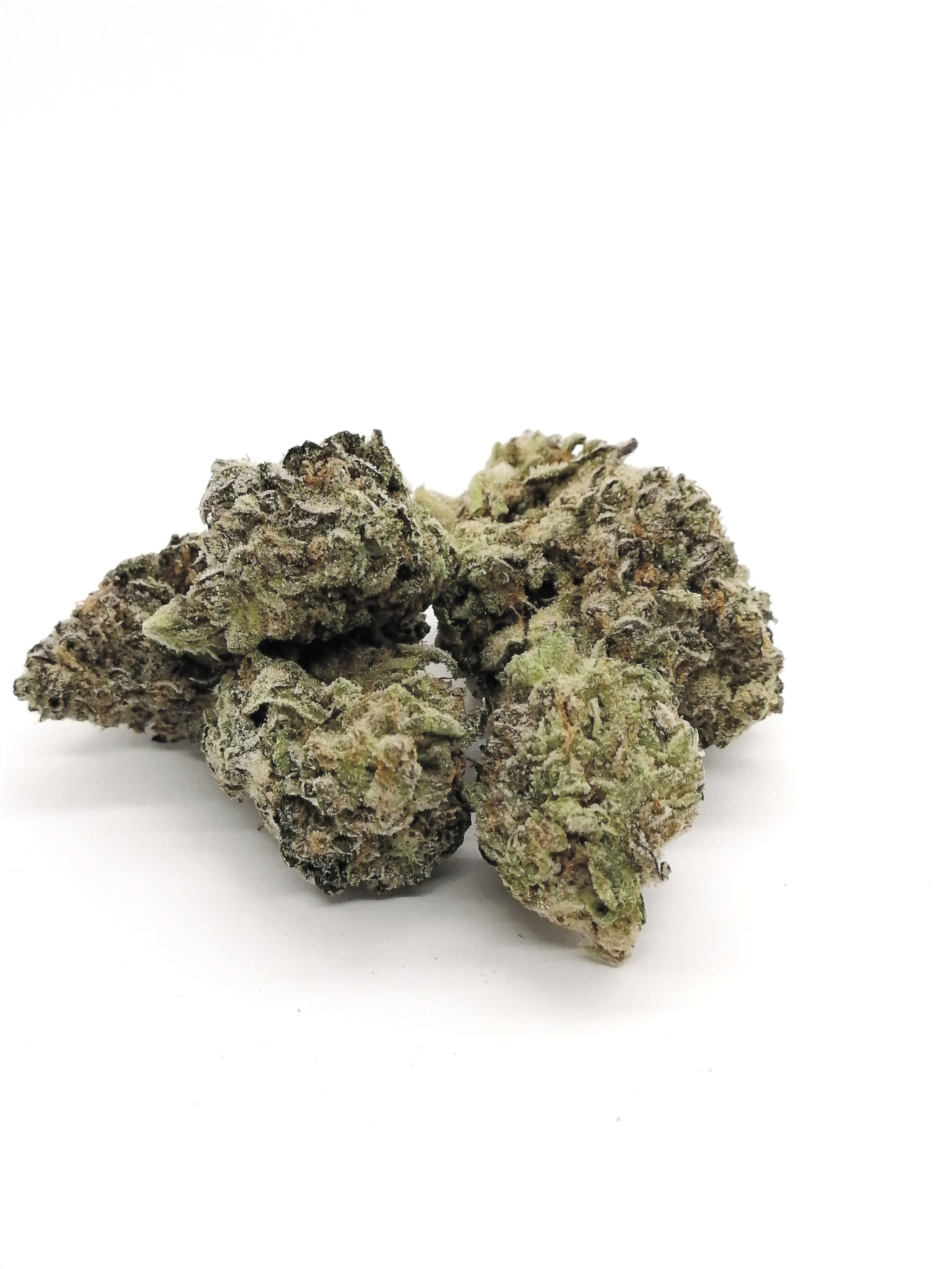 Hash Plant (Indica Dom Hybrid)
